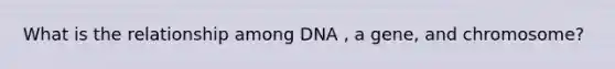 What is the relationship among DNA , a gene, and chromosome?