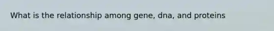 What is the relationship among gene, dna, and proteins