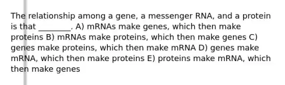 The relationship among a gene, a <a href='https://www.questionai.com/knowledge/kDttgcz0ig-messenger-rna' class='anchor-knowledge'>messenger rna</a>, and a protein is that ________. A) mRNAs make genes, which then make proteins B) mRNAs make proteins, which then make genes C) genes make proteins, which then make mRNA D) genes make mRNA, which then make proteins E) proteins make mRNA, which then make genes