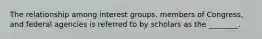 The relationship among interest groups, members of Congress, and federal agencies is referred to by scholars as the ________.