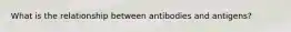 What is the relationship between antibodies and antigens?