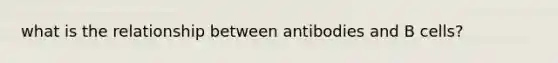 what is the relationship between antibodies and B cells?