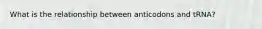 What is the relationship between anticodons and tRNA?