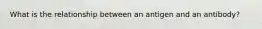 What is the relationship between an antigen and an antibody?