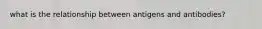 what is the relationship between antigens and antibodies?
