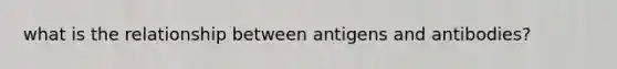 what is the relationship between antigens and antibodies?