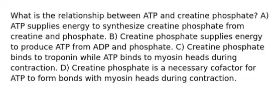 What is the relationship between ATP and creatine phosphate? ​A) ATP supplies energy to synthesize creatine phosphate from creatine and phosphate.​ ​B) Creatine phosphate supplies energy to produce ATP from ADP and phosphate. ​C) Creatine phosphate binds to troponin while ATP binds to myosin heads during contraction. ​D) Creatine phosphate is a necessary cofactor for ATP to form bonds with myosin heads during contraction.