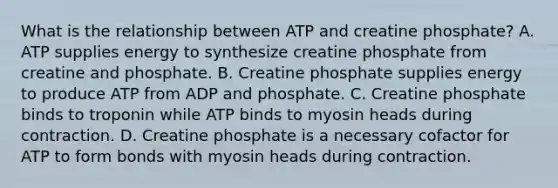 What is the relationship between ATP and creatine phosphate? A. ATP supplies energy to synthesize creatine phosphate from creatine and phosphate. B. Creatine phosphate supplies energy to produce ATP from ADP and phosphate. C. Creatine phosphate binds to troponin while ATP binds to myosin heads during contraction. D. Creatine phosphate is a necessary cofactor for ATP to form bonds with myosin heads during contraction.