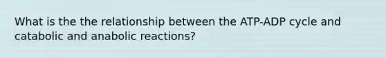 What is the the relationship between the ATP-ADP cycle and catabolic and anabolic reactions?