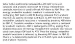 What is the relationship between the ATP-ADP cycle and catabolic and anabolic reactions? A) Energy released from catabolic reactions is used to break ATP down to ADP. Then the energy needed for anabolic reactions is released by to recharging ADP back to ATP. B) Energy released from anabolic reactions is used to recharge ADP back to ATP. Then the energy needed for catabolic reactions is released by breaking ATP down to ADP. C) Catabolic reactions require energy, which is provided by anabolic reactions. ADP is recharged to ATP by energy from anabolic reactions. D) Energy released from catabolic reactions is used to recharge ADP back to ATP. Then the energy needed for anabolic reactions is released by breaking ATP down to ADP. E) There is no relationship between the ATP-ADP cycle and catabolic and anabolic reactions.