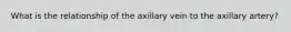 What is the relationship of the axillary vein to the axillary artery?