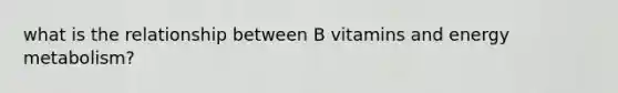 what is the relationship between B vitamins and energy metabolism?