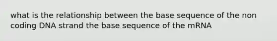 what is the relationship between the base sequence of the non coding DNA strand the base sequence of the mRNA