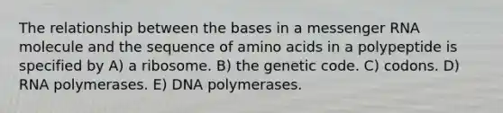 The relationship between the bases in a messenger RNA molecule and the sequence of amino acids in a polypeptide is specified by A) a ribosome. B) the genetic code. C) codons. D) RNA polymerases. E) DNA polymerases.