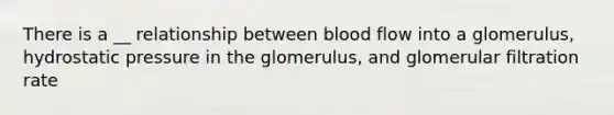 There is a __ relationship between blood flow into a glomerulus, hydrostatic pressure in the glomerulus, and glomerular filtration rate