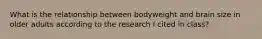 What is the relationship between bodyweight and brain size in older adults according to the research I cited in class?