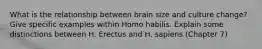 What is the relationship between brain size and culture change? Give specific examples within Homo habilis. Explain some distinctions between H. Erectus and H. sapiens (Chapter 7)