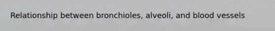 Relationship between bronchioles, alveoli, and <a href='https://www.questionai.com/knowledge/kZJ3mNKN7P-blood-vessels' class='anchor-knowledge'>blood vessels</a>