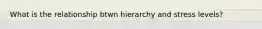 What is the relationship btwn hierarchy and stress levels?