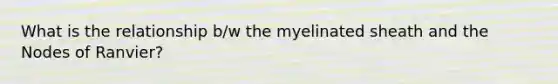 What is the relationship b/w the myelinated sheath and the Nodes of Ranvier?