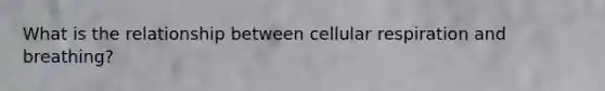 What is the relationship between cellular respiration and breathing?