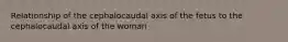 Relationship of the cephalocaudal axis of the fetus to the cephalocaudal axis of the woman