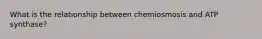 What is the relationship between chemiosmosis and ATP synthase?