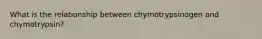 What is the relationship between chymotrypsinogen and chymotrypsin?