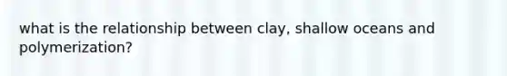 what is the relationship between clay, shallow oceans and polymerization?