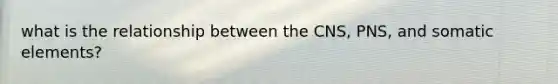 what is the relationship between the CNS, PNS, and somatic elements?
