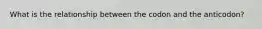 What is the relationship between the codon and the anticodon?