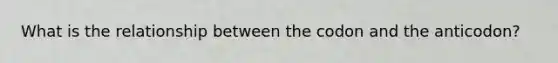 What is the relationship between the codon and the anticodon?