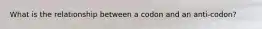 What is the relationship between a codon and an anti-codon?