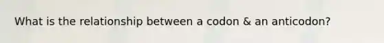 What is the relationship between a codon & an anticodon?