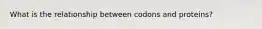 What is the relationship between codons and proteins?