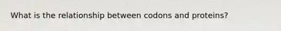What is the relationship between codons and proteins?