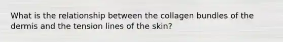 What is the relationship between the collagen bundles of the dermis and the tension lines of the skin?