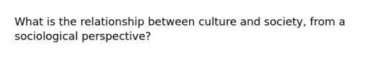 What is the relationship between culture and society, from a sociological perspective?