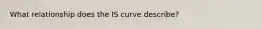 What relationship does the IS curve describe?