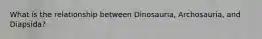 What is the relationship between Dinosauria, Archosauria, and Diapsida?