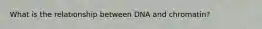 What is the relationship between DNA and chromatin?
