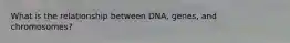 What is the relationship between DNA, genes, and chromosomes?