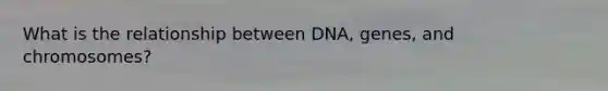 What is the relationship between DNA, genes, and chromosomes?