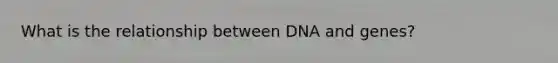 What is the relationship between DNA and genes?