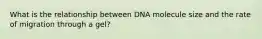 What is the relationship between DNA molecule size and the rate of migration through a gel?