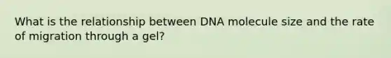 What is the relationship between DNA molecule size and the rate of migration through a gel?