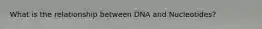 What is the relationship between DNA and Nucleotides?