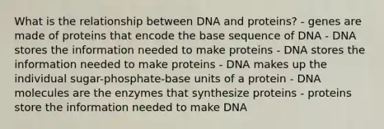 What is the relationship between DNA and proteins? - genes are made of proteins that encode the base sequence of DNA - DNA stores the information needed to make proteins - DNA stores the information needed to make proteins - DNA makes up the individual sugar-phosphate-base units of a protein - DNA molecules are the enzymes that synthesize proteins - proteins store the information needed to make DNA