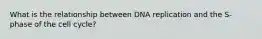 What is the relationship between DNA replication and the S-phase of the cell cycle?