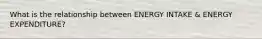 What is the relationship between ENERGY INTAKE & ENERGY EXPENDITURE?